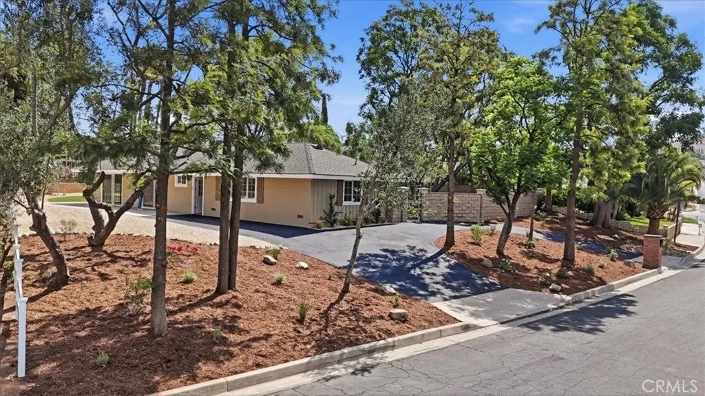 7831 Live Oak