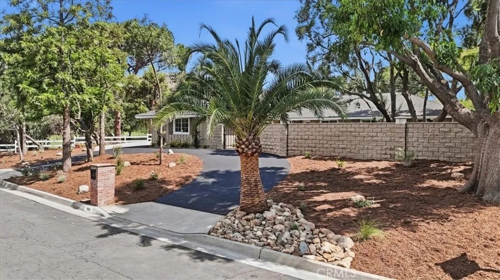 7831 Live Oak