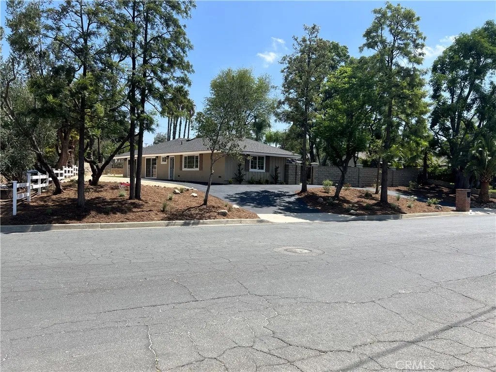 7831 Live Oak