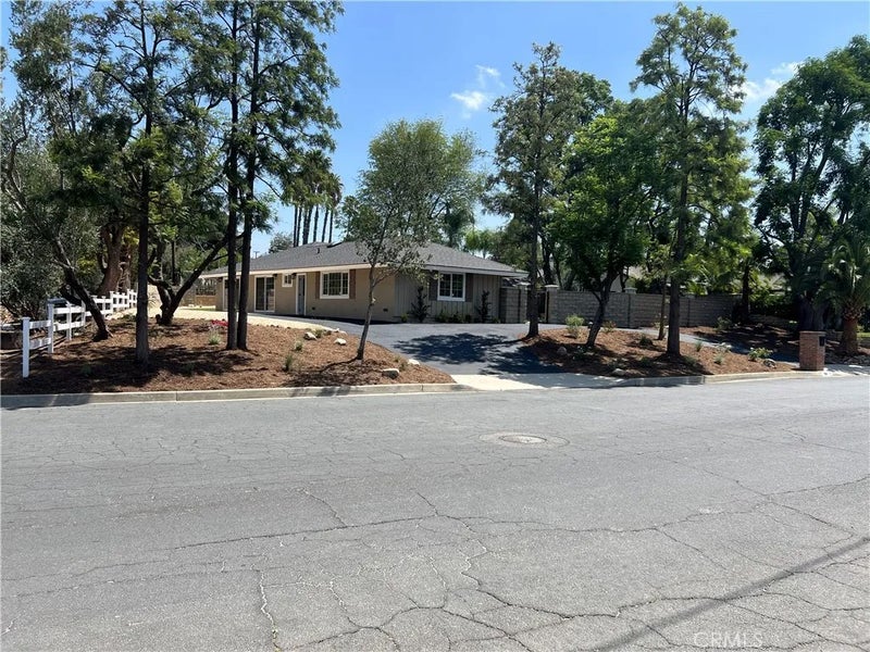 7831 Live Oak