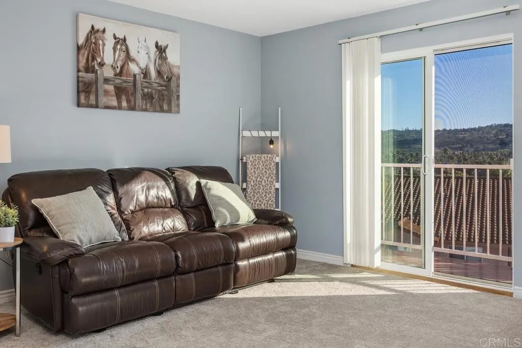 31916 Del Cielo Este 6