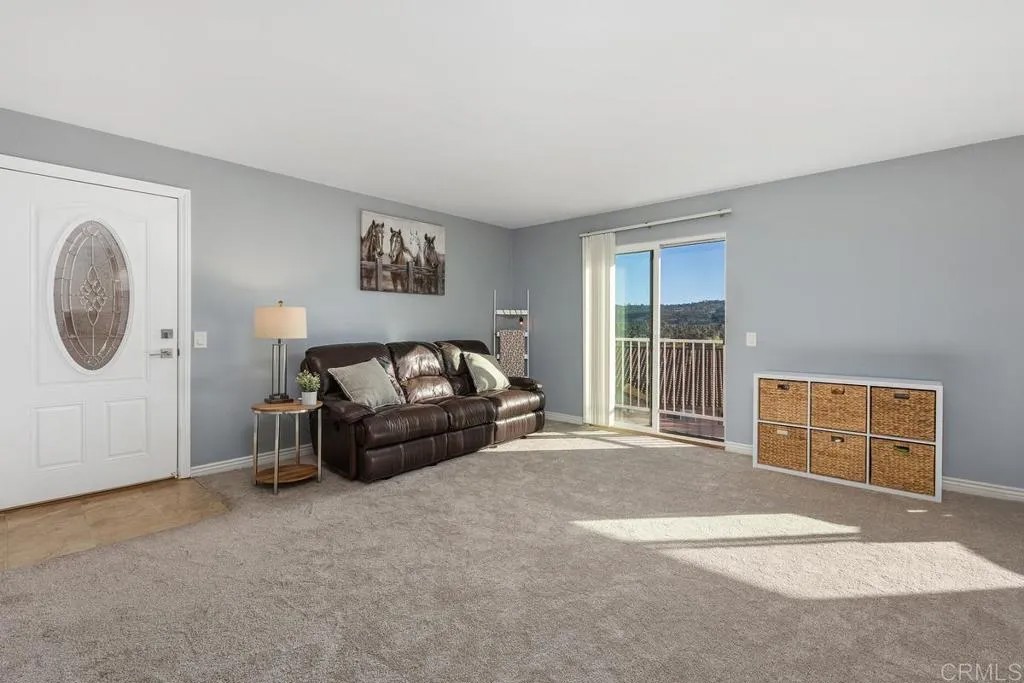 31916 Del Cielo Este 6