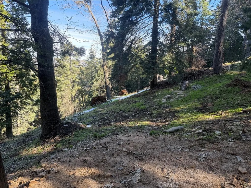 24989 Highland