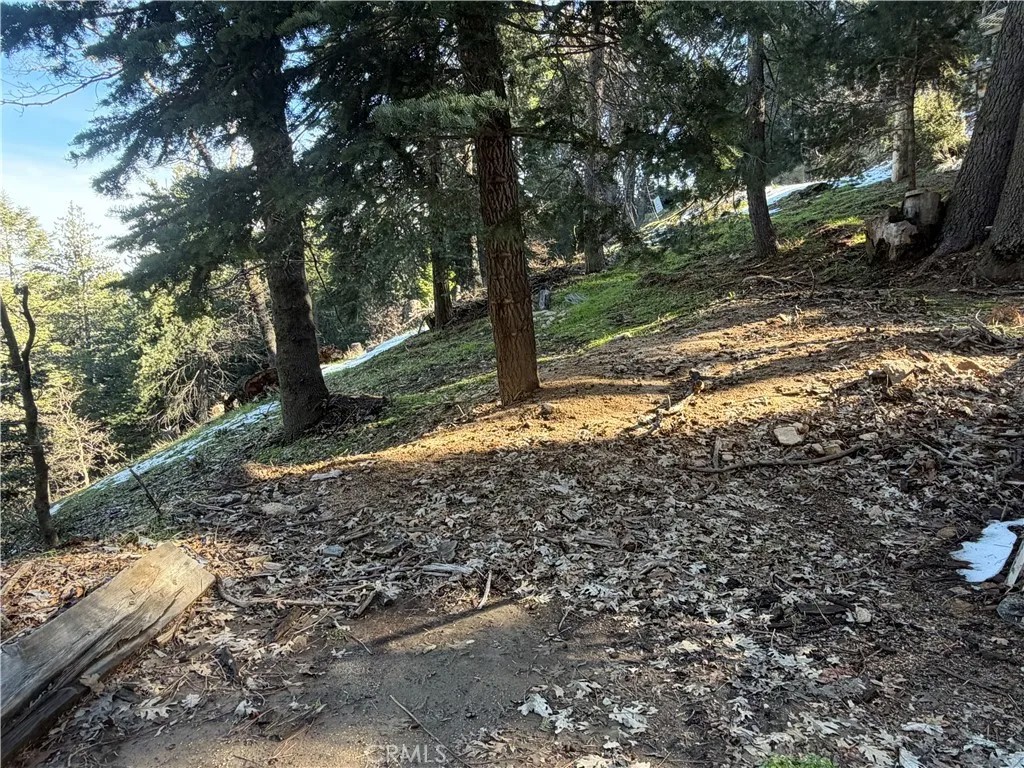 24989 Highland