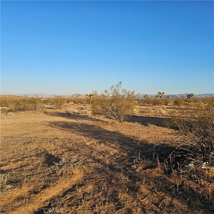 1234 El Rancho
