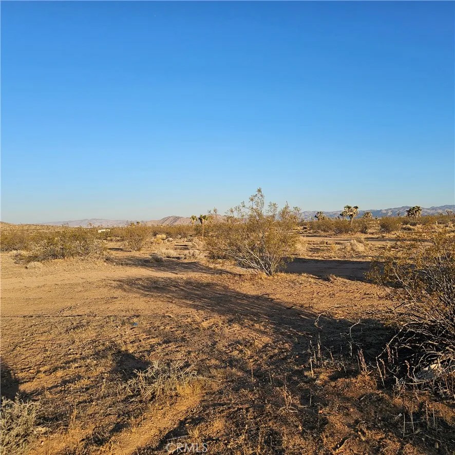 1234 El Rancho
