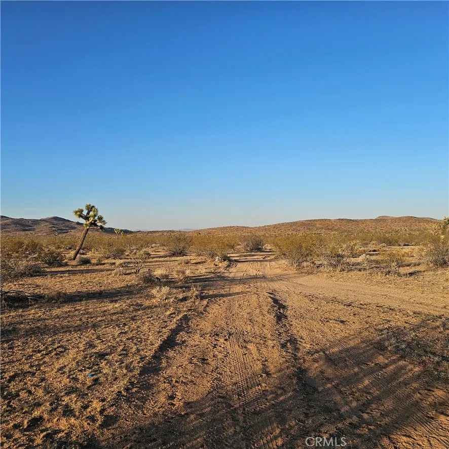 1234 El Rancho