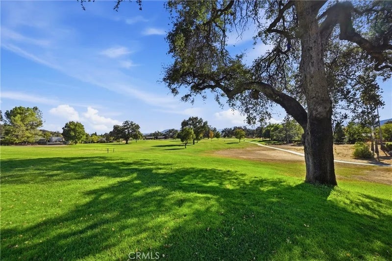 19001 Spyglass