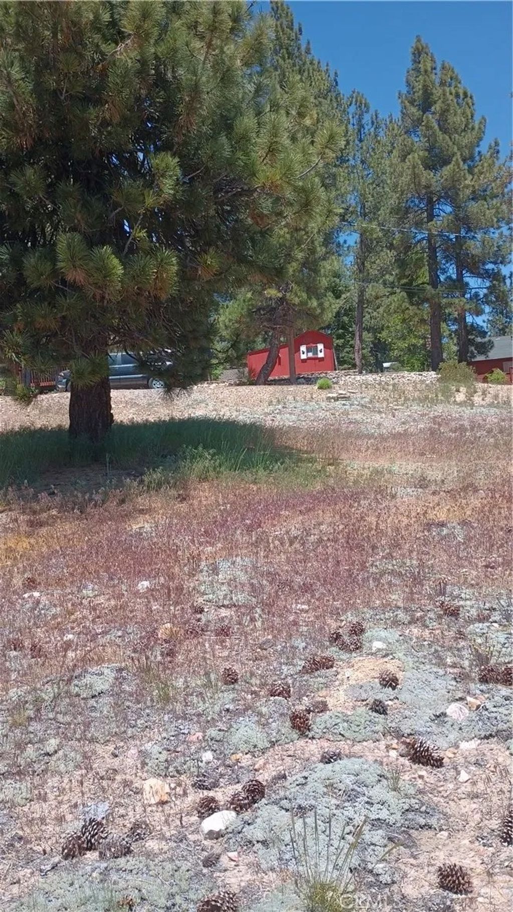 Photo of 39237 Crest LN, Big Bear Lake, CA 92315 (MLS # SW26111436)