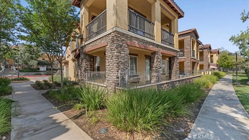 8749 Olive Tree Drive