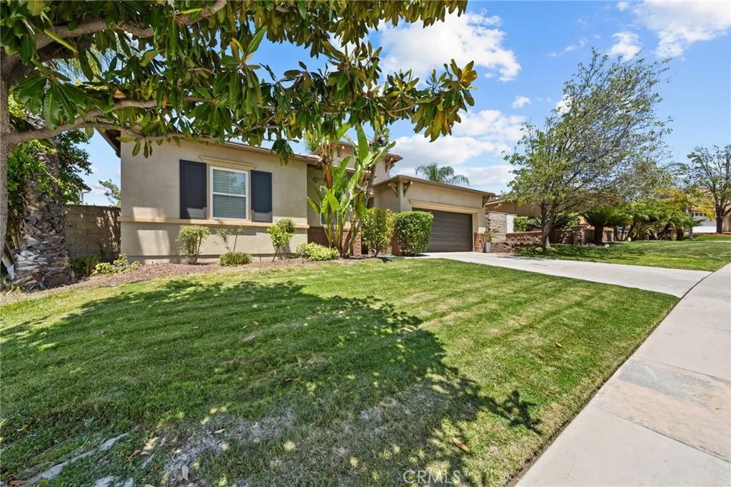 31704 Pepper Tree