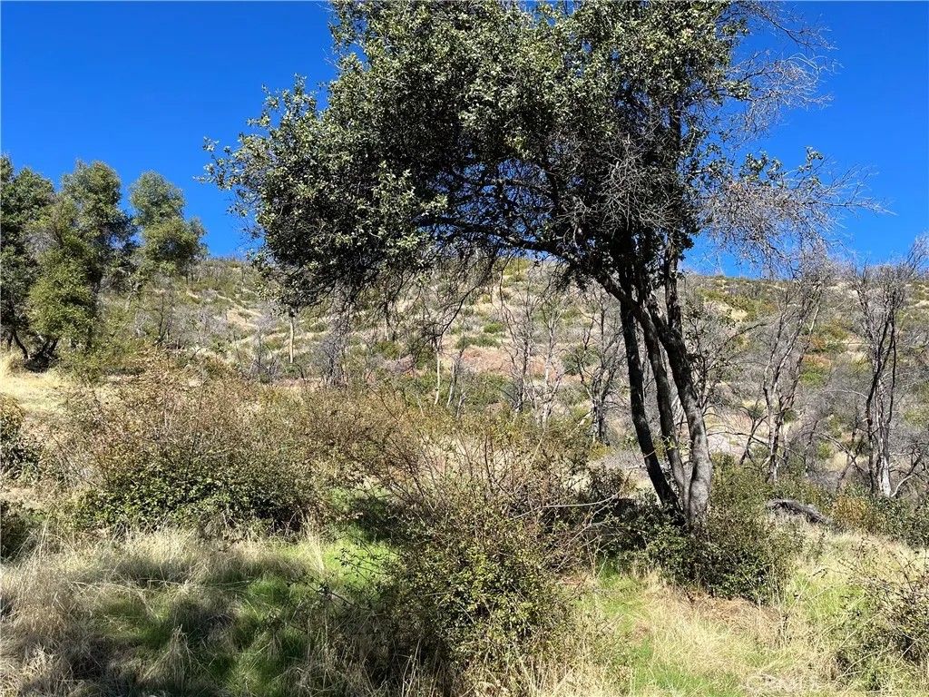 Photo of 0 Triangle Road, Mariposa, CA 95338 (MLS # MP26015298)