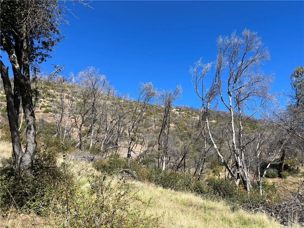 Photo of 0 Triangle Road, Mariposa, CA 95338 (MLS # MP26015298)