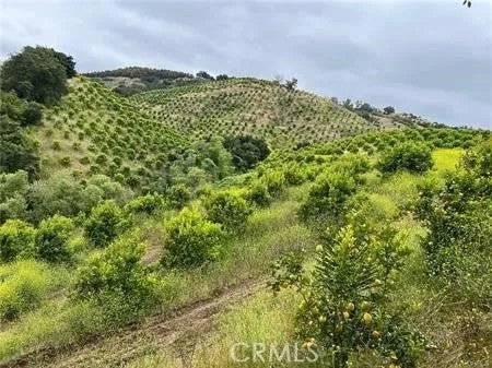 0 AVENNIDA TIERRA 2 LOTS
