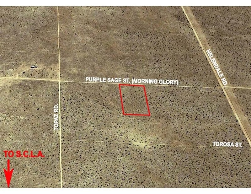 0 Colusa & Koala