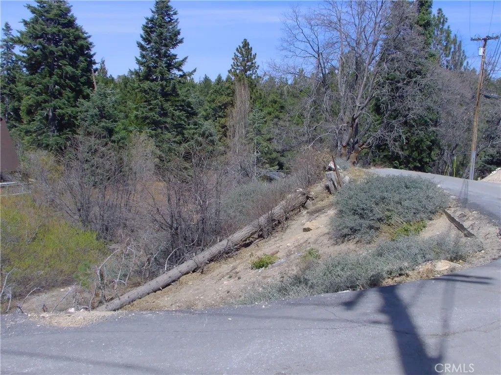 Photo of 33564 Falling Leaf Dr, Green Valley Lake, CA 92341 (MLS # IV26062284)