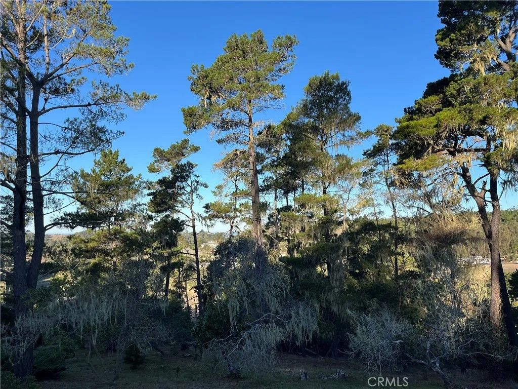 Photo of 3235 Rogers, Cambria, CA 93428 (MLS # SC25250182)