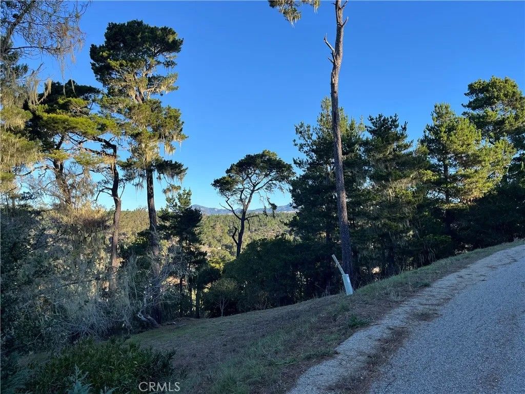 Photo of 3235 Rogers, Cambria, CA 93428 (MLS # SC25250182)