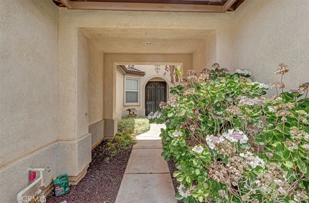 23247 Montalvo