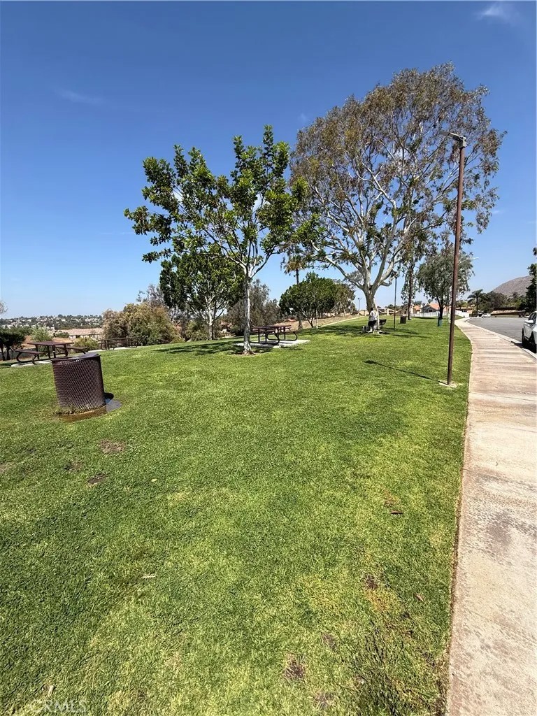 21426 Blossom Hill