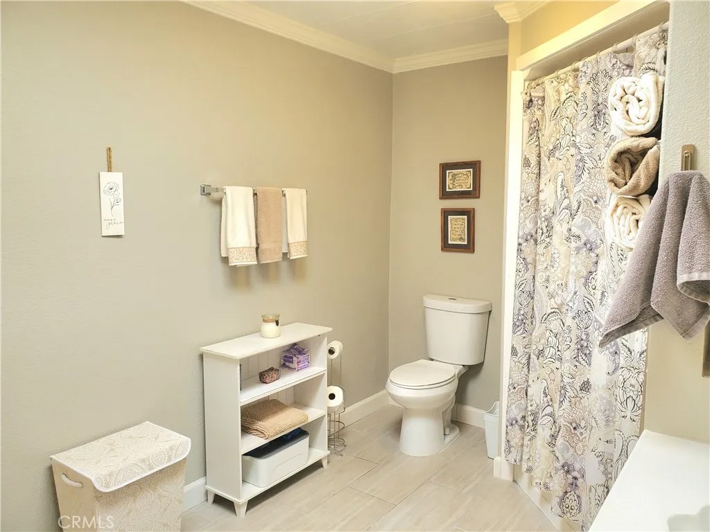 30761 Paradise Palm