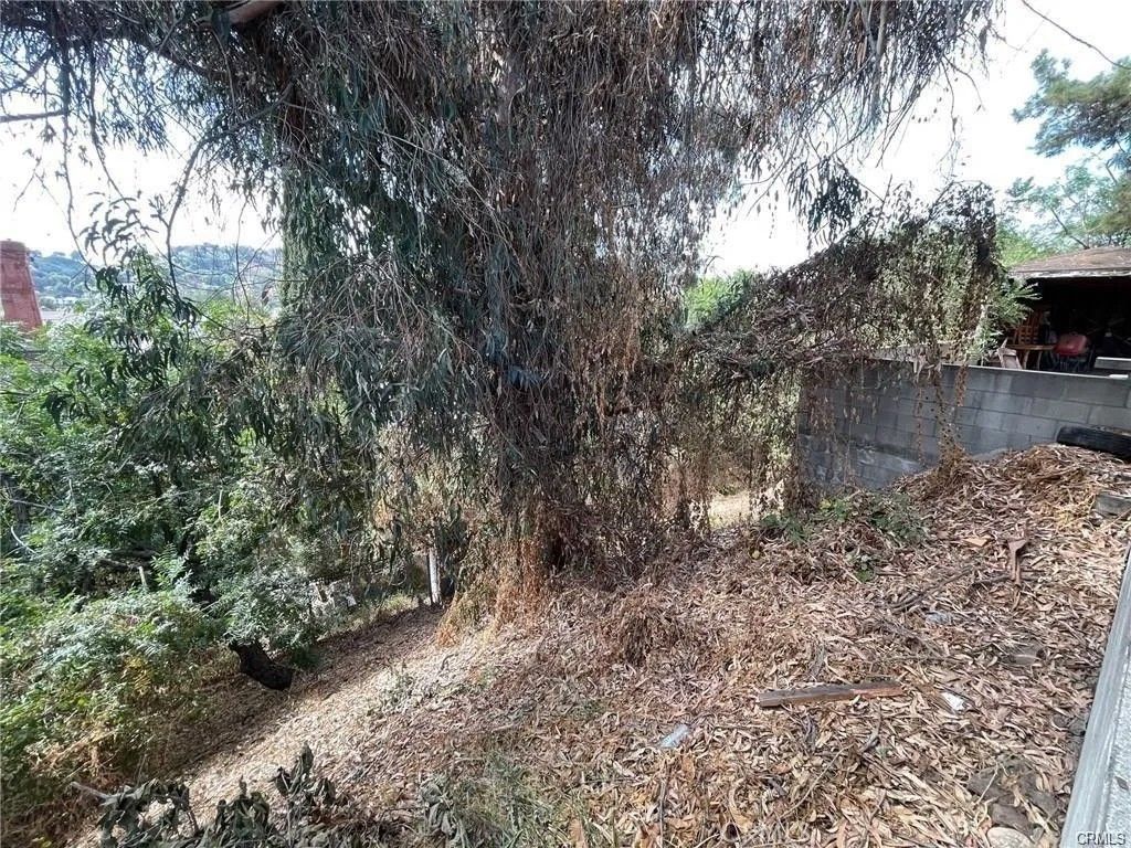 Photo of 3790 Griffin, Montecito Heights, CA 90031 (MLS # GD26003578)