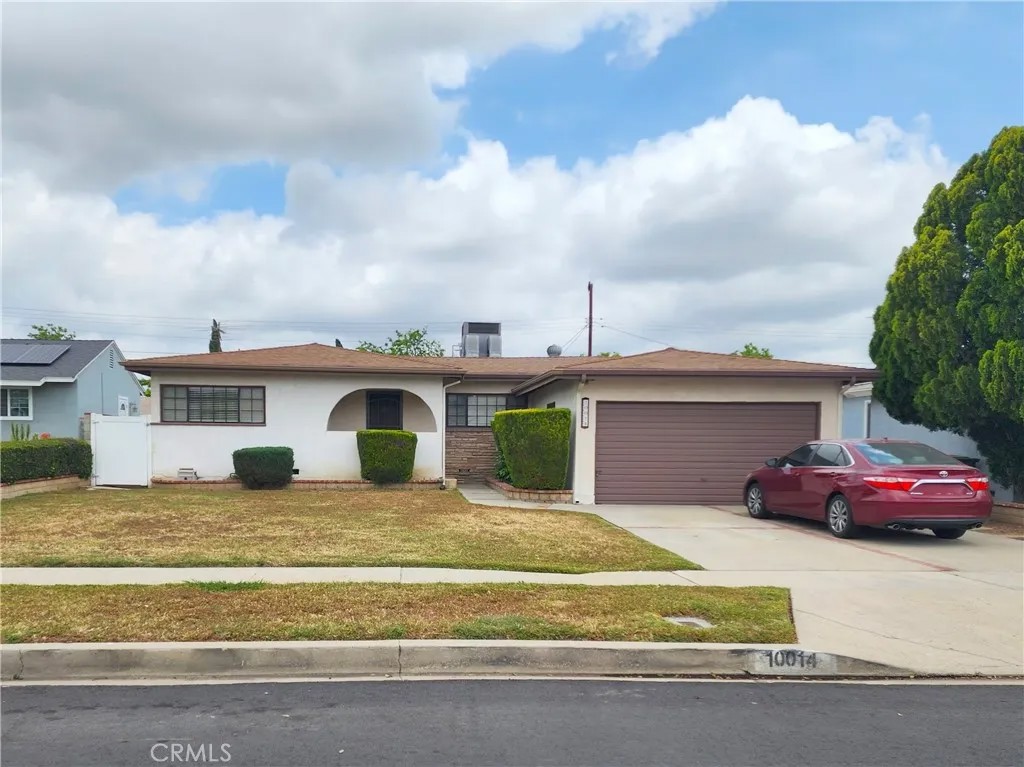 10014 Gaviota
