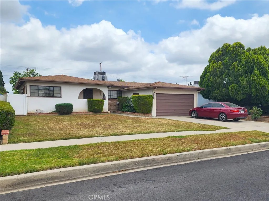 10014 Gaviota