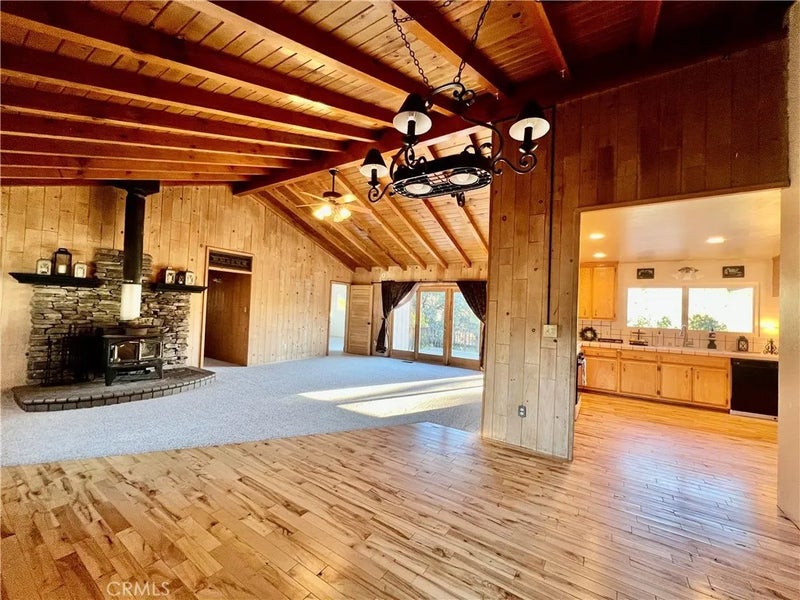 1118 Snowline