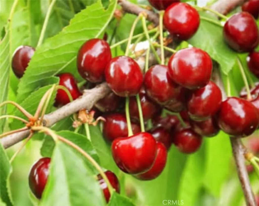 Photo of 1441 Paso Real Ave #300, Rowland Heights, CA 91748 (MLS # TR25276318)