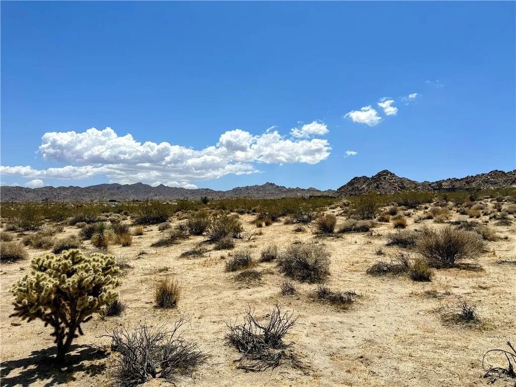 Photo of 64100 Sullivan, Joshua Tree, CA 92252 (MLS # JT26034091)