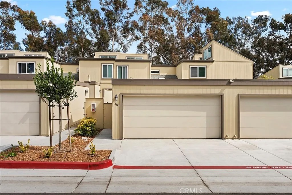 10541 Caminito Basswood