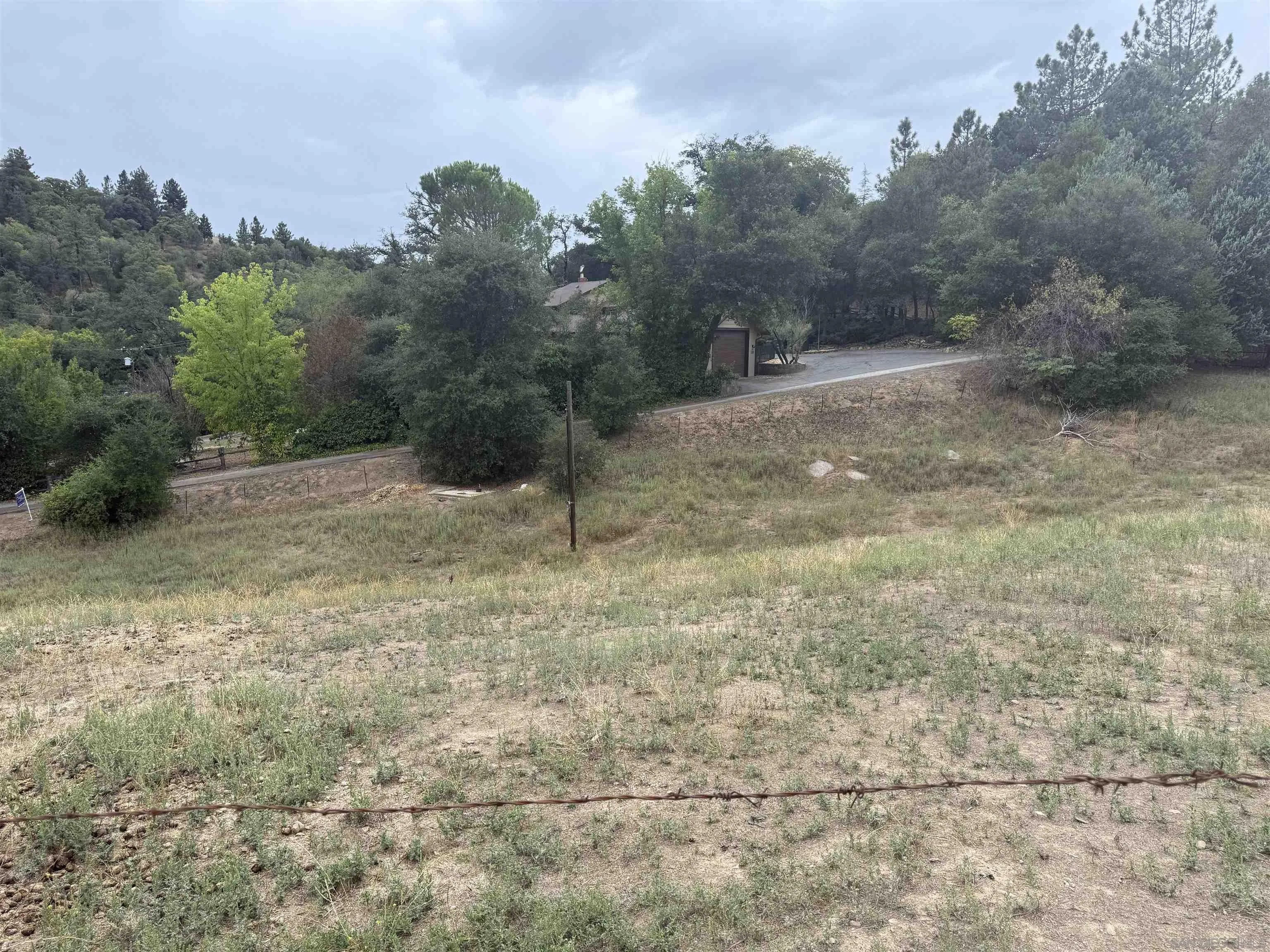 Pinezanita Lane 0