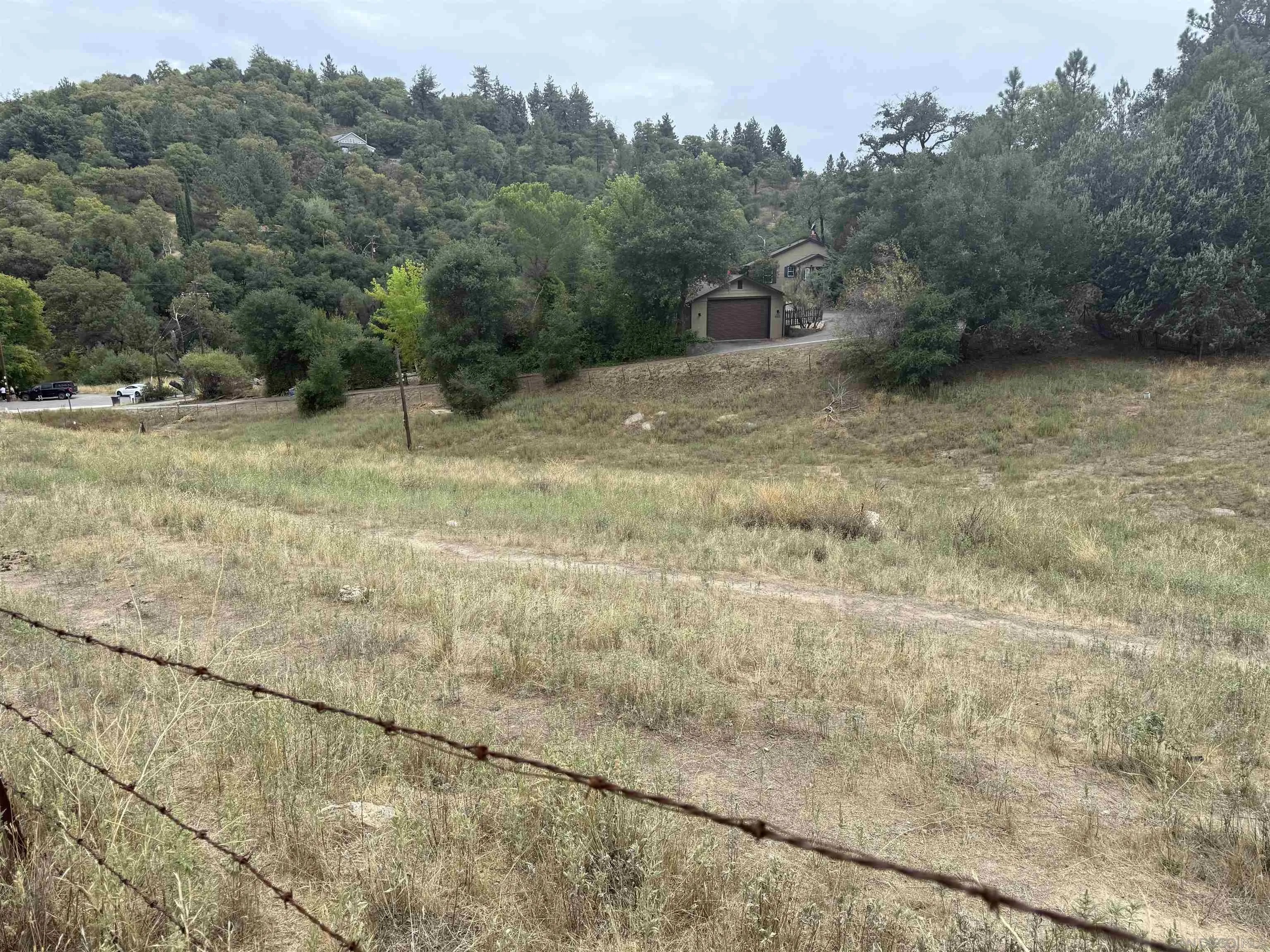 Pinezanita Lane 0