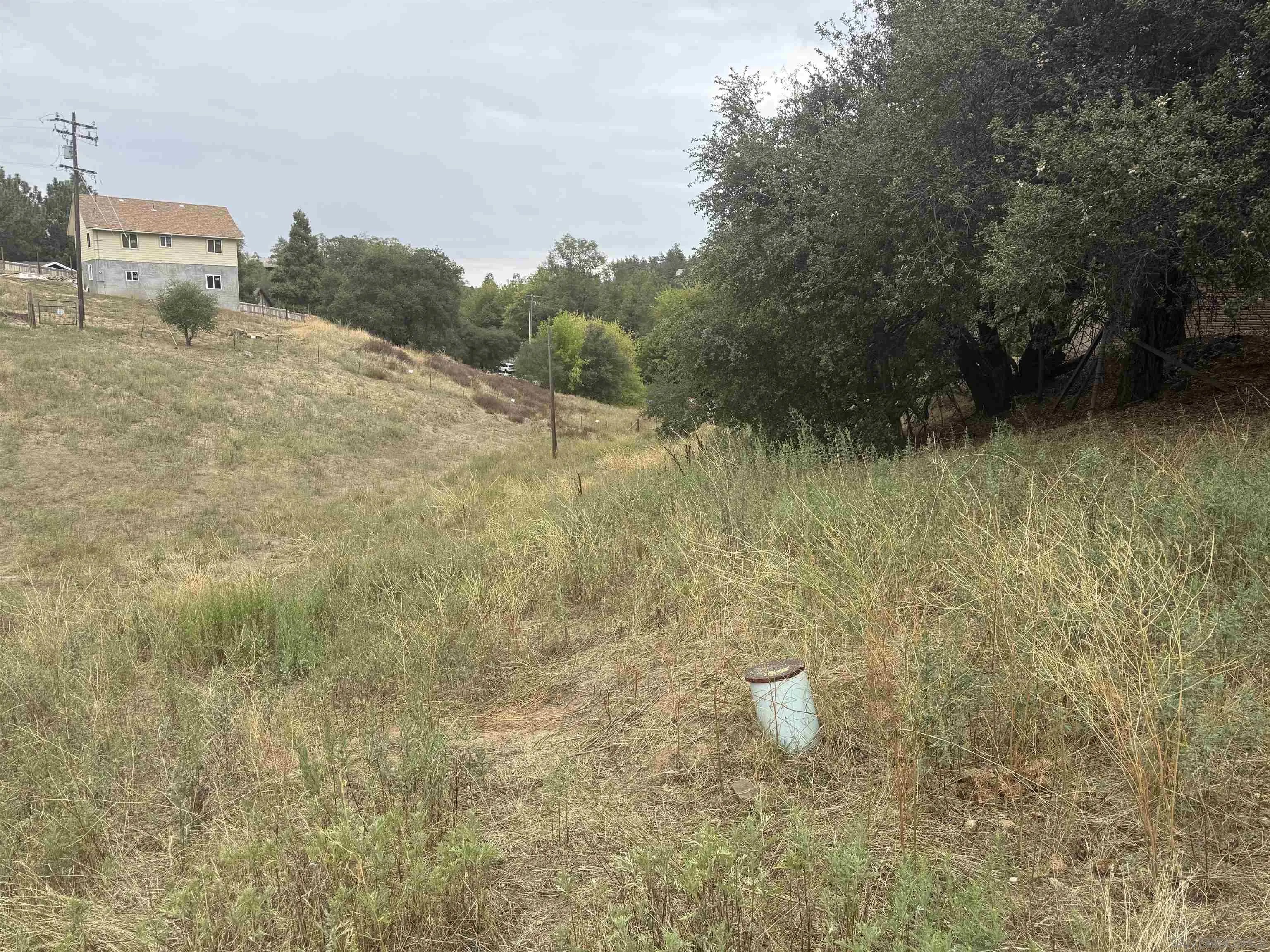 Pinezanita Lane 0
