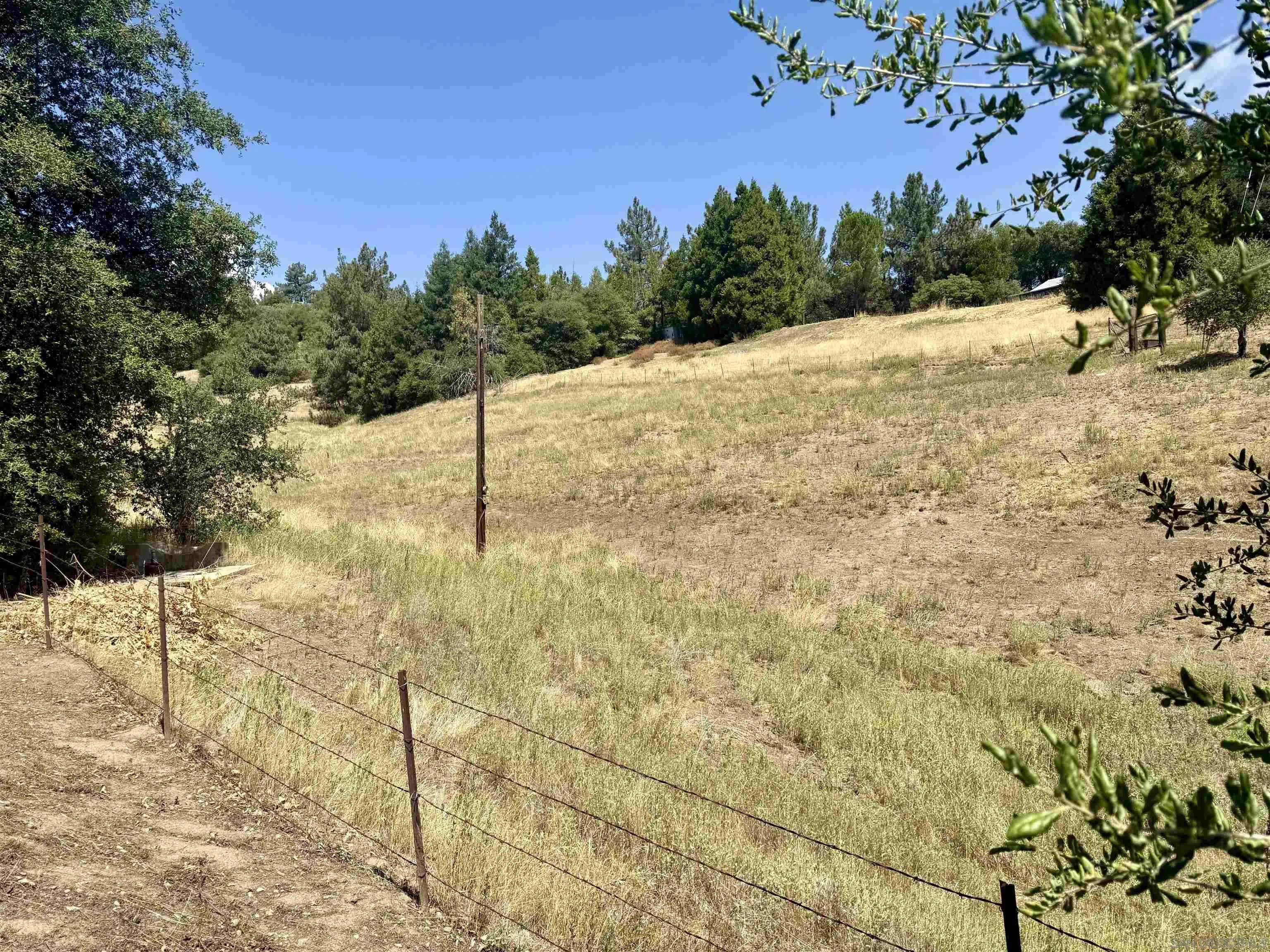 Pinezanita Lane 0