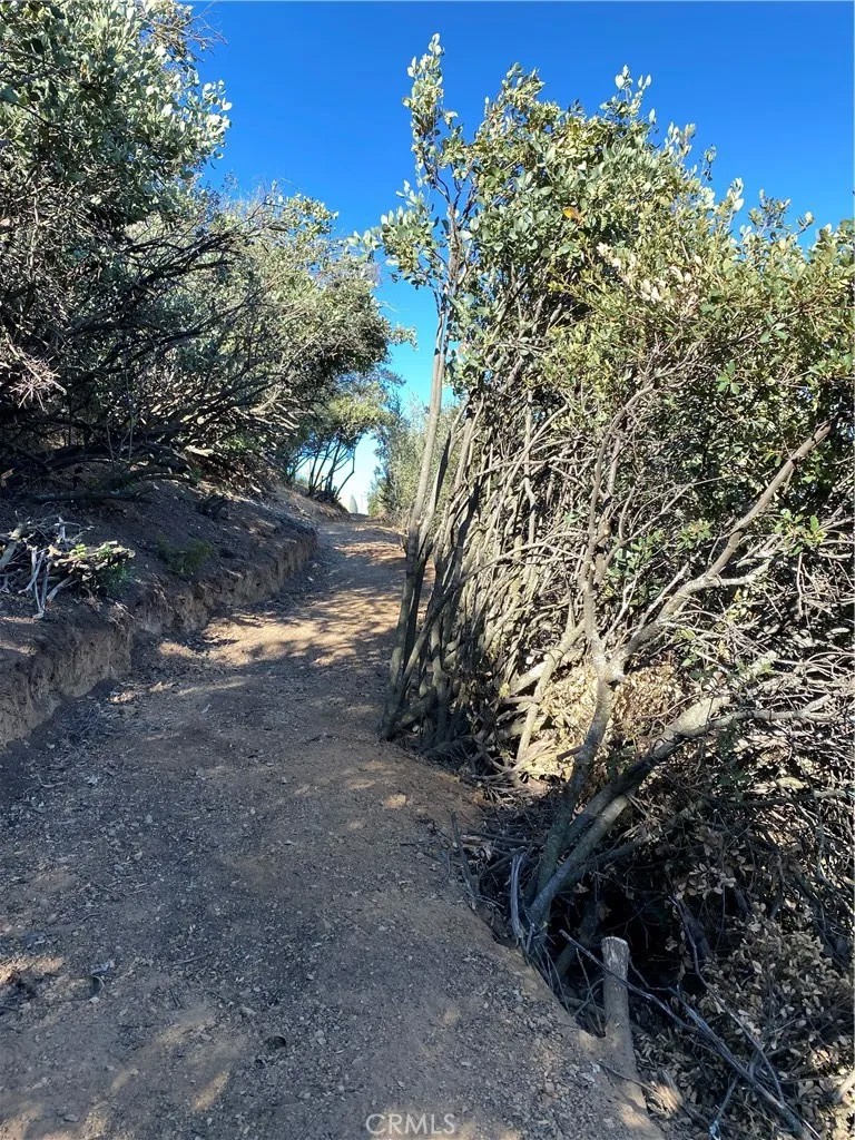 37342 Pisgah Peak