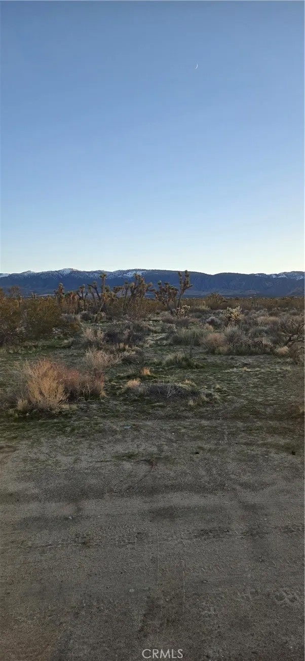 Photo of 253 Vac/Vic, Littlerock, CA 93591 (MLS # SR26176617)