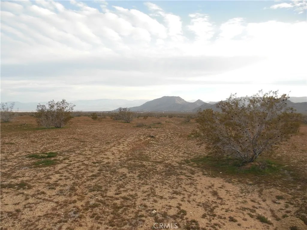 2300 Lorraine Ave (Lot 23)