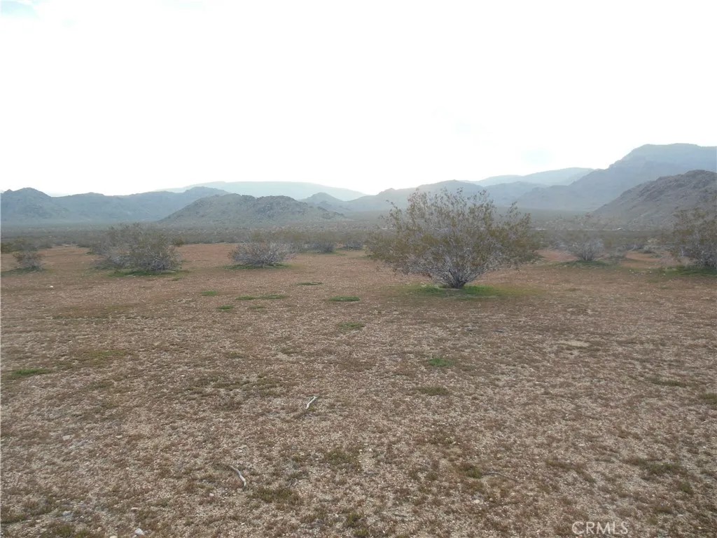 2300 Lorraine Ave (Lot 23)