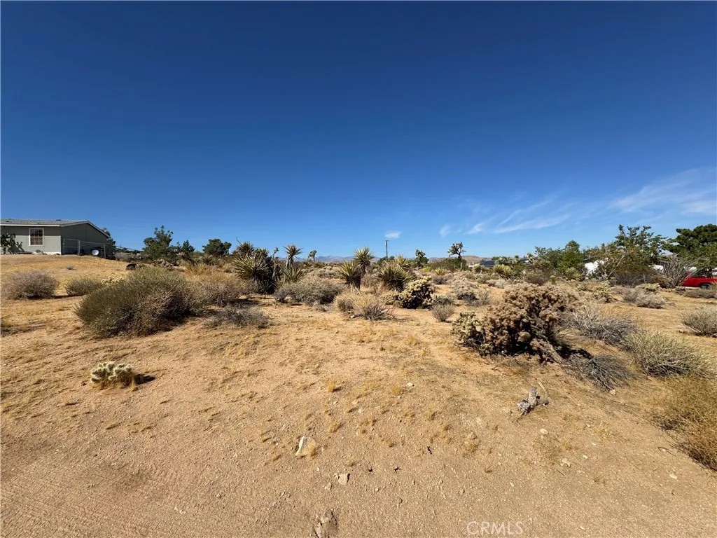 7218 Juniper