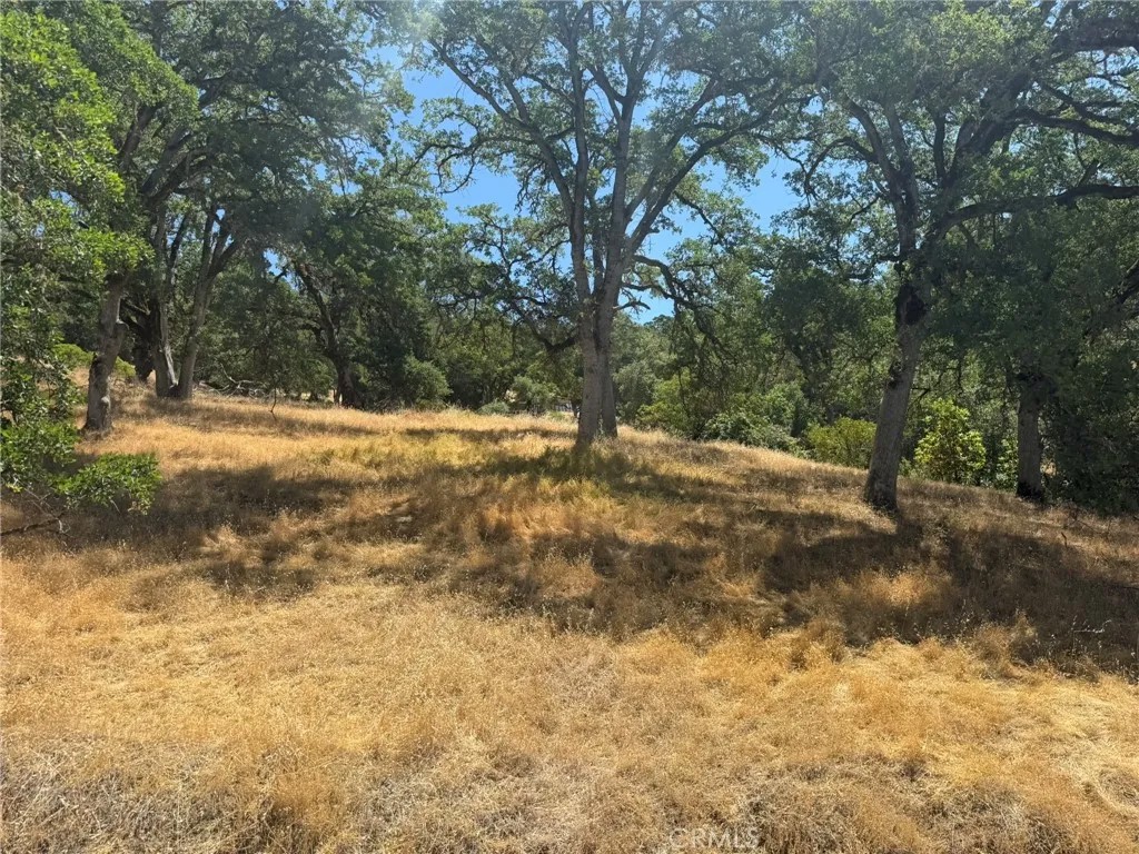 10606 Bachelor Valley