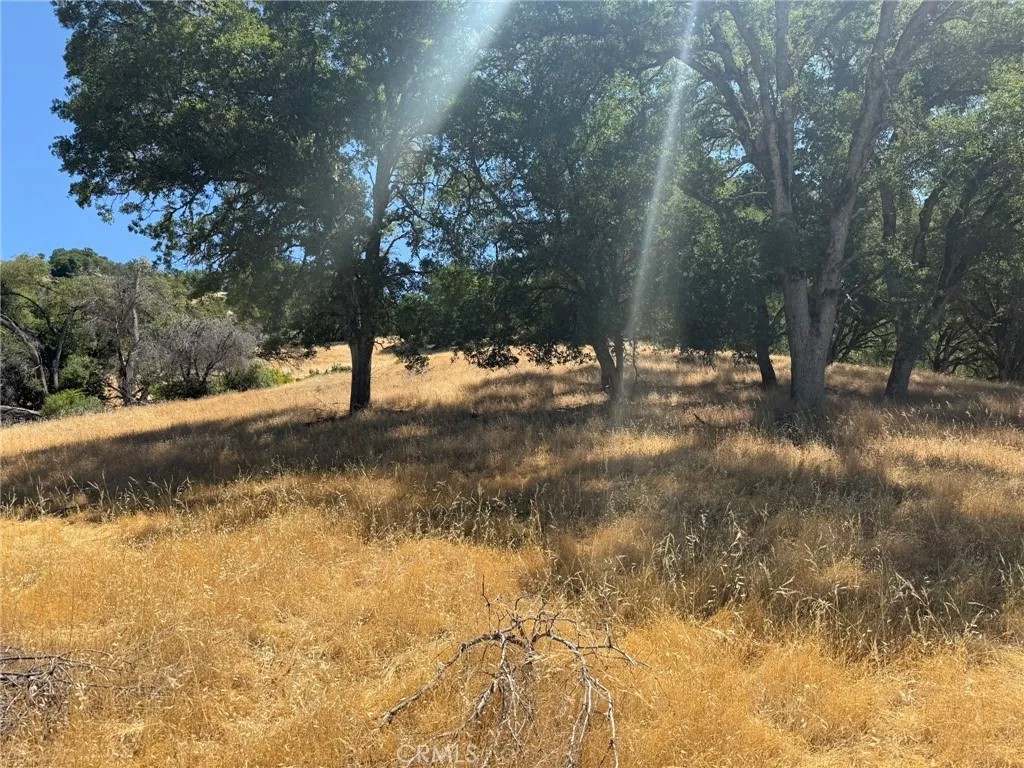 10606 Bachelor Valley