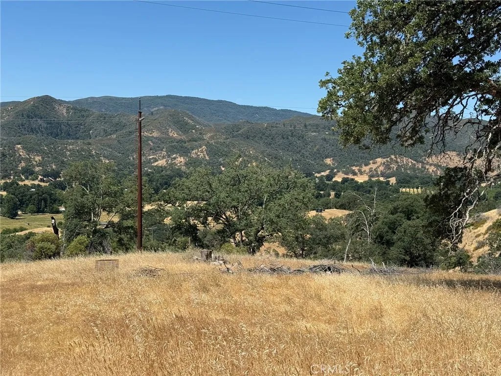 10606 Bachelor Valley