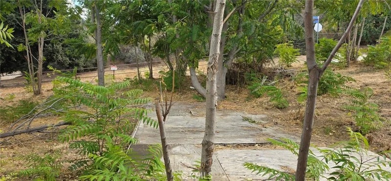 15407 Calle Maleza