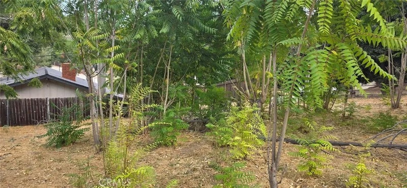 15407 Calle Maleza