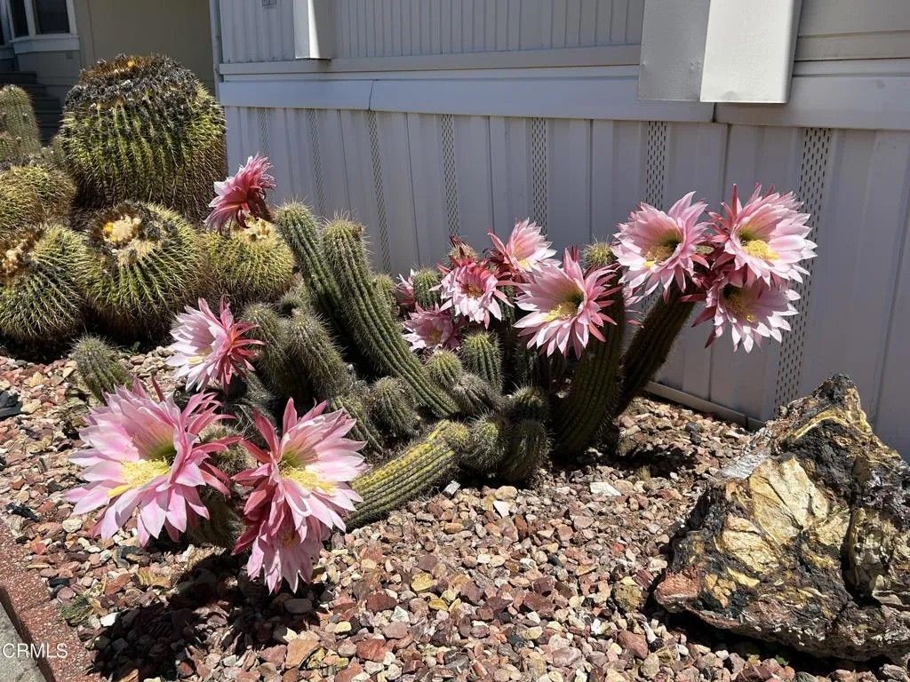 Photo of 6 Wisteria Way #6, Ventura, CA 93004 (MLS # V1-35832)