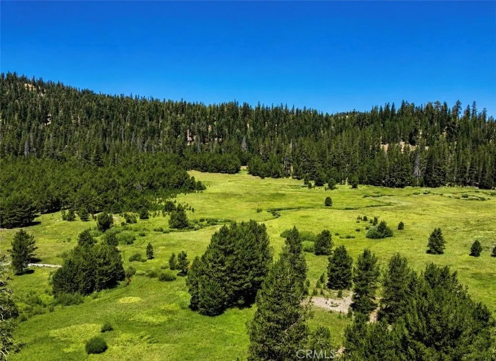 Photo of 0 Jones Valley, Sierraville, CA 96126 (MLS # OR26166006)