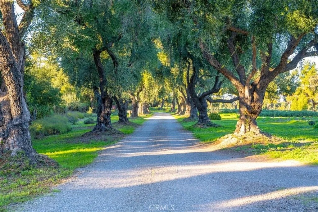 Photo of 2480 Roblar Avenue, Los Olivos, CA 93441 (MLS # SC25279682)