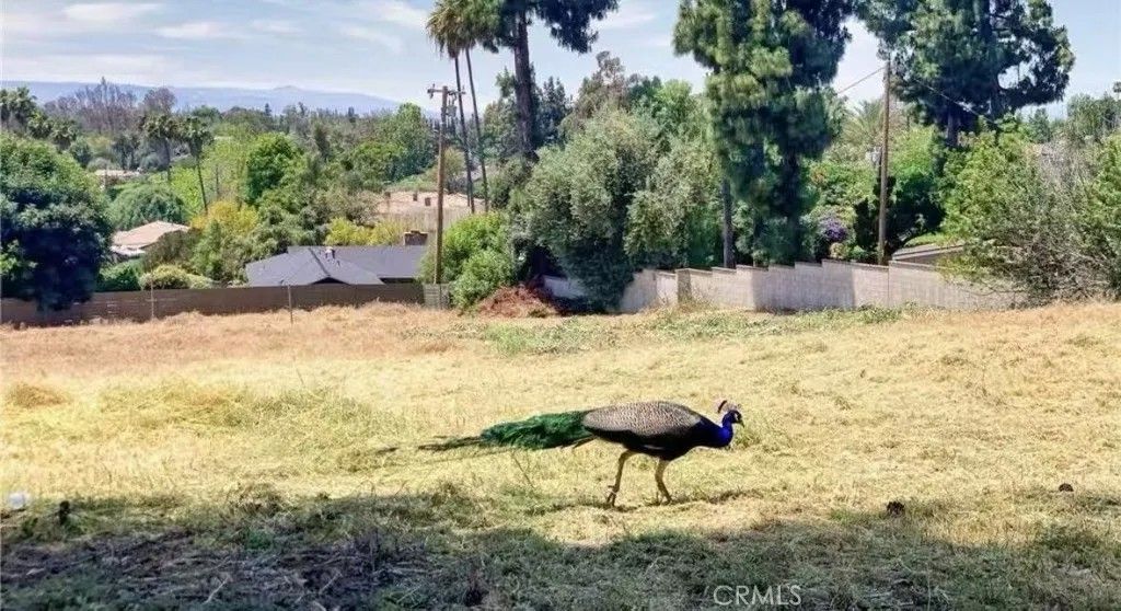 Photo of 20528 E Rancho Los Cerritos Rd, Covina, CA 91724 (MLS # AR26033936)